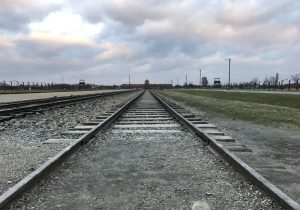 Il binario che attraversa il campo di Birkenau