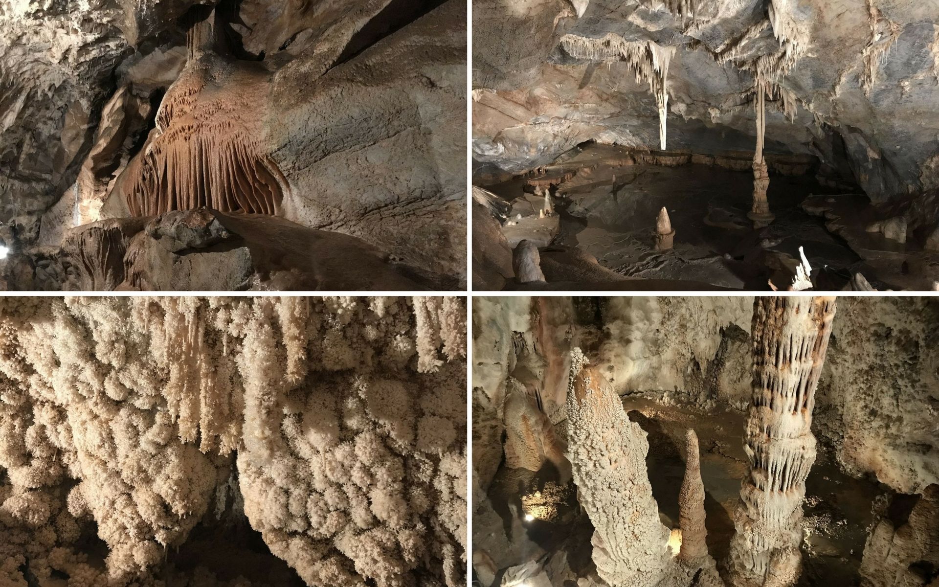 Stalattiti e stalagmiti nelle Grotte di Toirano
