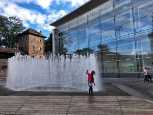Norimberga la fontana davanti al Museo nuovo