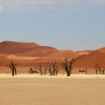 Capodanno al caldo in Namibia