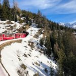 Treno del Bernina: il trenino entra in galleria