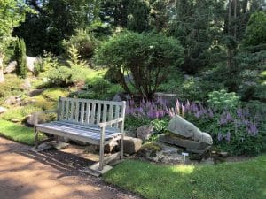 panchina al Giardino Botanico di Annapolis