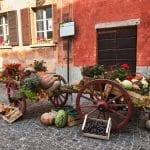 Banchetto con esposizione di zucche