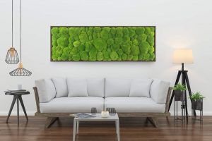 Moss trend: quadro vegetale in muschio