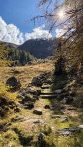 Il sentiero per l'Alpe Granarioli