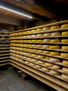 I formaggi dell'Alpe Pojala in stagionatura