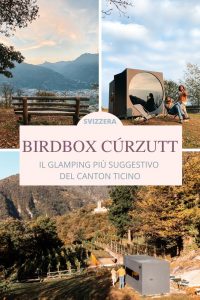 birdbox curzutt