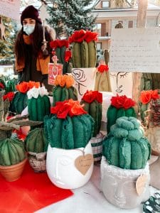 Cactus di stoffa ai Mercatini di Natale di Santa Maria Maggiore